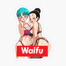 WAIFU Bulma and Chichi - the perfect Waifus from Dragonball