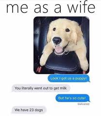 This Is Too Real Me As A Wife Bringing Home Puppies You Would Have To Be A Serious Dog Lover To Vibe W Funny Dog Memes Cute Funny Animals Funny Animal