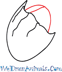 The other is a horse. How To Draw A Horseshoe Crab