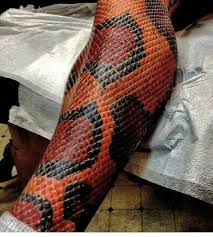 See This Instagram Photo By Tattooselection 375 Likes Leg Tattoos 3d Tattoos Biomechanical Tattoo