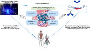 Frontiers | The critical role of neutrophil-endothelial cell interactions  in sepsis: new synergistic approaches employing organ-on-chip, omics,  immune cell phenotyping and in silico modeling to identify new therapeutics