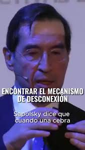 @MarioAlonsoPuig's video Tweet