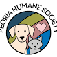 Paws to Read Session 2