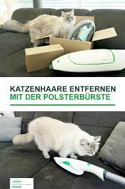 katzenhaare setzen sich gerne uberall fest wie ihr die hartnackigen tierhaare ganz einfach von polstern entfernen konnt er katzenhaare handstaubsauger kobold