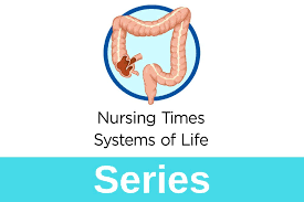 We explain small intestine with video tutorials and quizzes, using our many ways(tm) approach from multiple and then the end portion that connects to the large intestine is the ileum. Gastrointestinal Tract 5 The Anatomy And Functions Of The Large Intestine Nursing Times