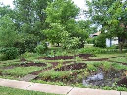 Front Yard Rain Garden And Berm Midwest Permaculture Rain Garden Permaculture Garden Planning