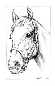 Found On Google From Drawingsware Net Pinturasfamosas Horse Head Drawing Animal Drawings Sketches Horse Drawings