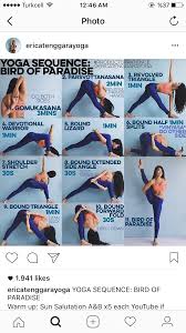 Erica Bird Of Paradise Power Yoga Workout Bird Of Paradise Yoga Yoga Sequences