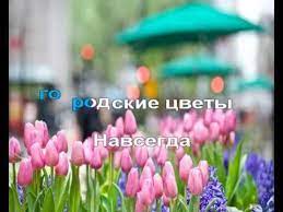 Городские цветы, городские цветы, вот опять я кричу вам сквозь грохот и дым. M Boyarskij Gorodskie Cvety Karaoke Youtube