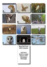 The barn owl centre's mission is the advancement of the conservation of the barn owl and other species of owl through environmental projects, research, studies & other such activities that will help. Calendar 2020 The Barn Owl Trust