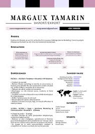 12 Meilleurs Modeles De Cv Sans Photo A Telecharger Et Re Utiliser