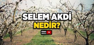 Ayrıca sözlü sınav anlamı da taşımaktadır. Muzakere Ne Demek Dini Ve Islami Bilgiler Allah Yolunda