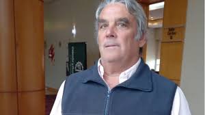 Hoy se rematarán alrededor de 1.000 cabezas de Angus Colorado