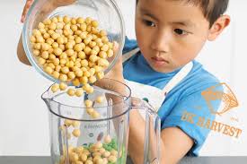 Hướng dẫn cách nấu đậu gà cho bé giữ nguyên giá trị dinh dưỡng