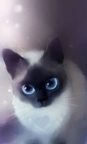 49 Trendy Cats Wallpaper Siamese Cats Sevimli Kedi Yavrulari Hayvanlar Resimler