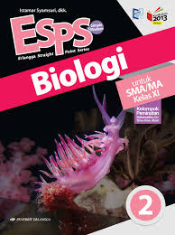 May 06, 2021 · buku biologi revisi 2017 kelas 11 kurikulum 2013 terbaru pada buku kurikulum 2013 sma mata pelajaran biologi yang terdapat pada halaman inipun dimana admin kemas kedalam file via google drive dengan berbasis pdf dimana pada format tersebut pun telah memuat juga beberapa materi yang mencakup lampiran permendikbud kurikulum 2013 sma modul materi. Buku Biologi Kelas 11 Penerbit Erlangga Pdf Irnaningtyas Ilmu Soal
