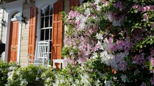 We did not find results for: Garden District New Orleans Vacation Rentals House Rentals More Vrbo