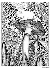 Coloring pages are no longer just for children. Adult Forest Frog Coloring Pages Printable