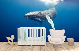Find wallpapers and download to your most popular among our users humpback whale in collection animalare sorted by number of views. Humpback Whale Wallpaper
