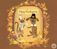 We did not find results for: Thanksgiving Gifs Get The Best Gif On Giphy