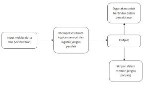 Pembelajaran pun perlu dilaksanakan secara kontekstual dengan menggunakan model, strategi, metode, dan teknik sesuai dengan untuk mewujudkan hal tersebut di atas, maka guru sebagai ujung tombak pebelajaran harus mampu merencanakan dan melaksanakan pbm yang berkualitas. Masalah Pembelajaran Sejarah Dan Cara Mengatasinya Cikgu Rosehoney