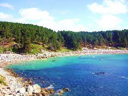 Playa El Canelo Y Canelillo Algarrobo Chile Paisajes Fotos De Paisajes Naturales Playas Del Mundo