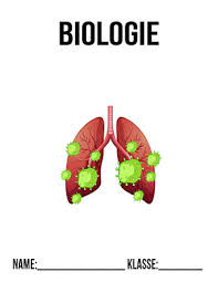 Bio deckblatt deckblatt vorlage schulbeginn erster schultag schulanfang einschulung biologie kunstunterricht decken. Biologie Deckblatt Zeichnen