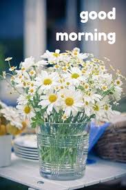 Help them to begin their day with a new soul by sharing the best good morning images with white flowers from us. Morning With White Flowers