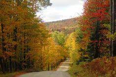 95 Best Take A Back Road Images Country Roads Back Road Scenery