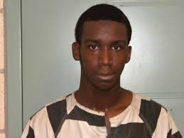 After man takes deal for his role in burning Justice the dog, family of  another suspect pleads for his release