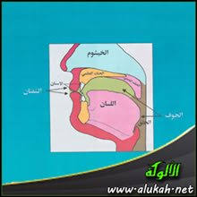 في مخارج الحروف وصفاتها