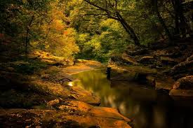 Hanging Rock Falls Photo By Gerald Berliner National Geographic Your Shot Nature Inspiration Photo Rock Falls