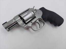 Image result for Grace Silver 1993 Colt