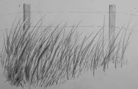We did not find results for: How To Draw Realistic Tall Grass Realistic Drawings Grass Drawing Landscape Drawings