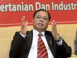 Image result for ISmail sabri