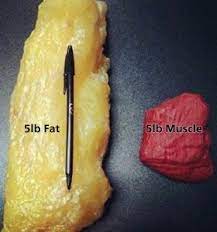 Pin On Fitness