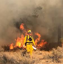 Image result for tbn:XVFRz-6Maj2JLM::www.jolmag.co.za/wildfire/images/Logos/vuvuzela_header.jpg