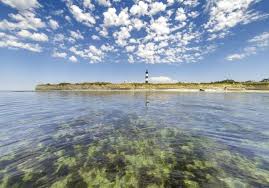 Guide de peche en mer sebastien gas bölgesinde bulundunuz mu? Ile D Oleron Les Plus Beaux Spots De L Ile D Oleron Elle
