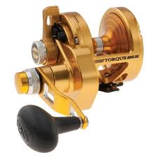 How About Penn Torque Lever Drag 2 Speed Reel Trq25ld2