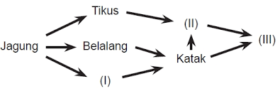 Maybe you would like to learn more about one of these? 40 Soal Latihan Ujian Sekolah Us Ipa Sd Mi 2021 Dan Kunci Jawaban Website Pendidikan
