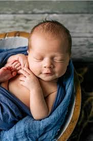 Mackay's adorable new residents