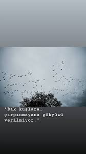 Esma Eroglu Adli Kullanicinin Yazi Fotograf Panosundaki Pin 2020 Ozlu Sozler Ilham Veren Sozler Guzel Soz