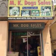 We did not find results for: Top 10 Pet Shops For Pomeranian Dog In Dhanbad Best Pet Shops For Pomerian Dogs Justdial