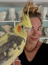 RIP Kowhai 💛 Our beloved cockatiel who made it to the grand old age of  17ish. Part of our whanau and my little muse