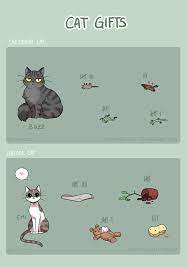 Browse Art Crazy Cats Funny Cat Memes Funny Animal Jokes