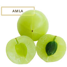 amla amla