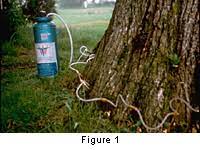 Organic growers will concentrate on cultural and. Plant Disease Management