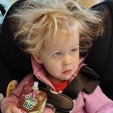 Toddlers, dinosaurs, and race horses! Oh my!