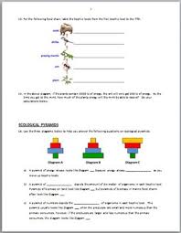We did not find results for: Food Chains Review Worksheet Editable By Tangstar Science Tpt