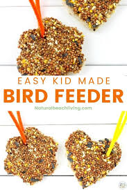 Notice in this photo, i added to the bottom of the bundt pan (before i added the seed mixture) dried, unsweetened red. Easy Peanut Butter Bird Treats Kids Can Make Natural Beach Living